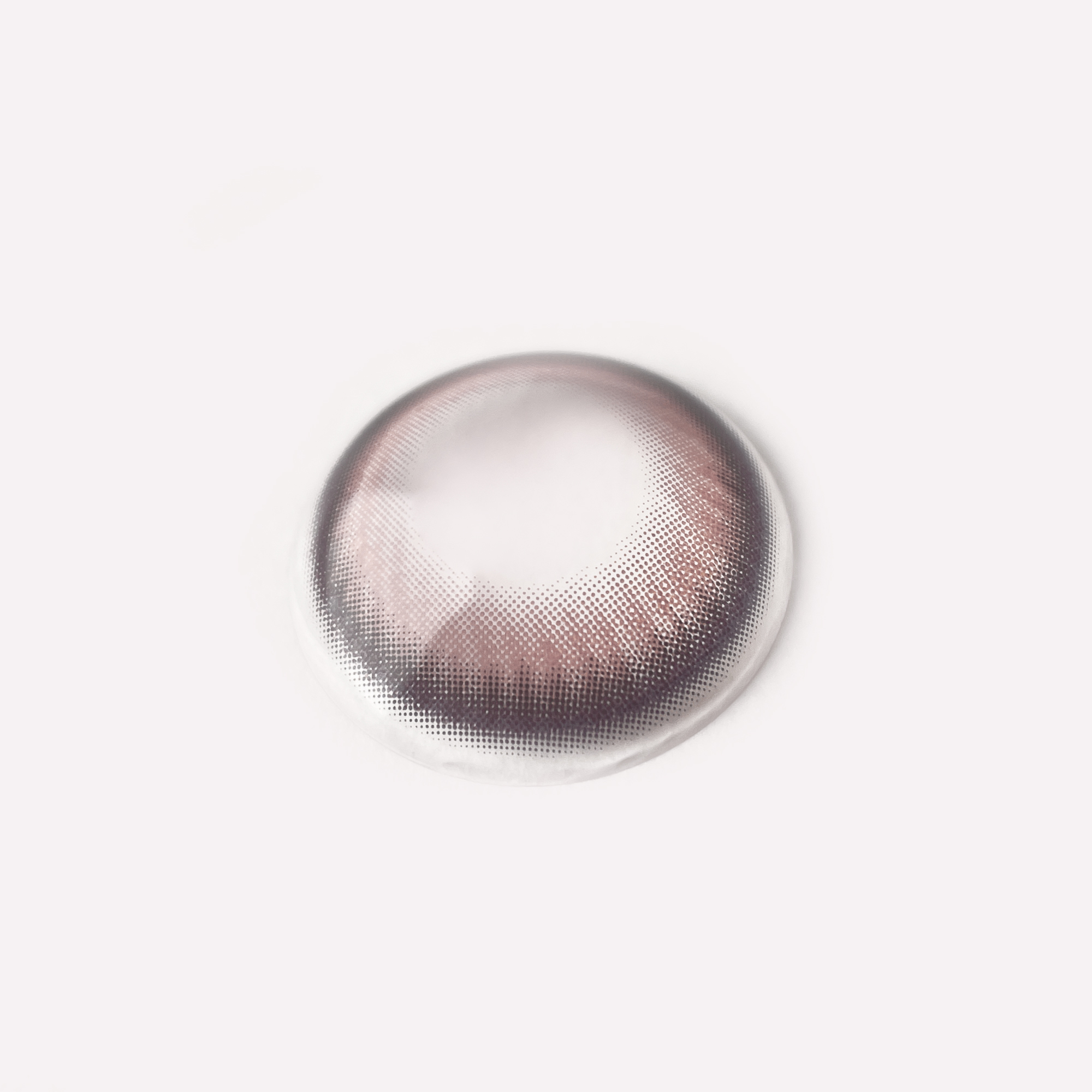 Diving Shell | 1 месяц, 2 шт